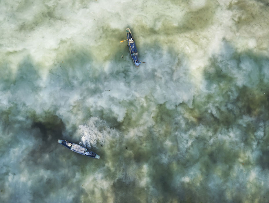 水產(chǎn)養(yǎng)殖常用的清塘方法，你用過哪種？